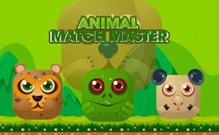 Image Animal Match Master
